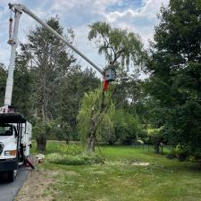 Tree Removal in Framingham, MA Image
