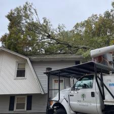 Tree Removal in Mansfield, MA Image
