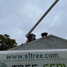 Tree Removal in Mansfield, MA 7