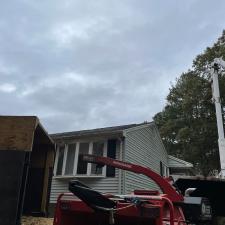 Tree Removal in Mansfield, MA 8