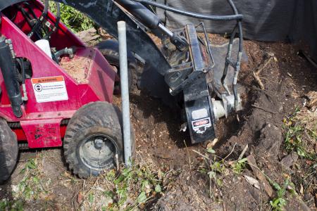 Stump grinding