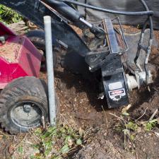 Stump grinding